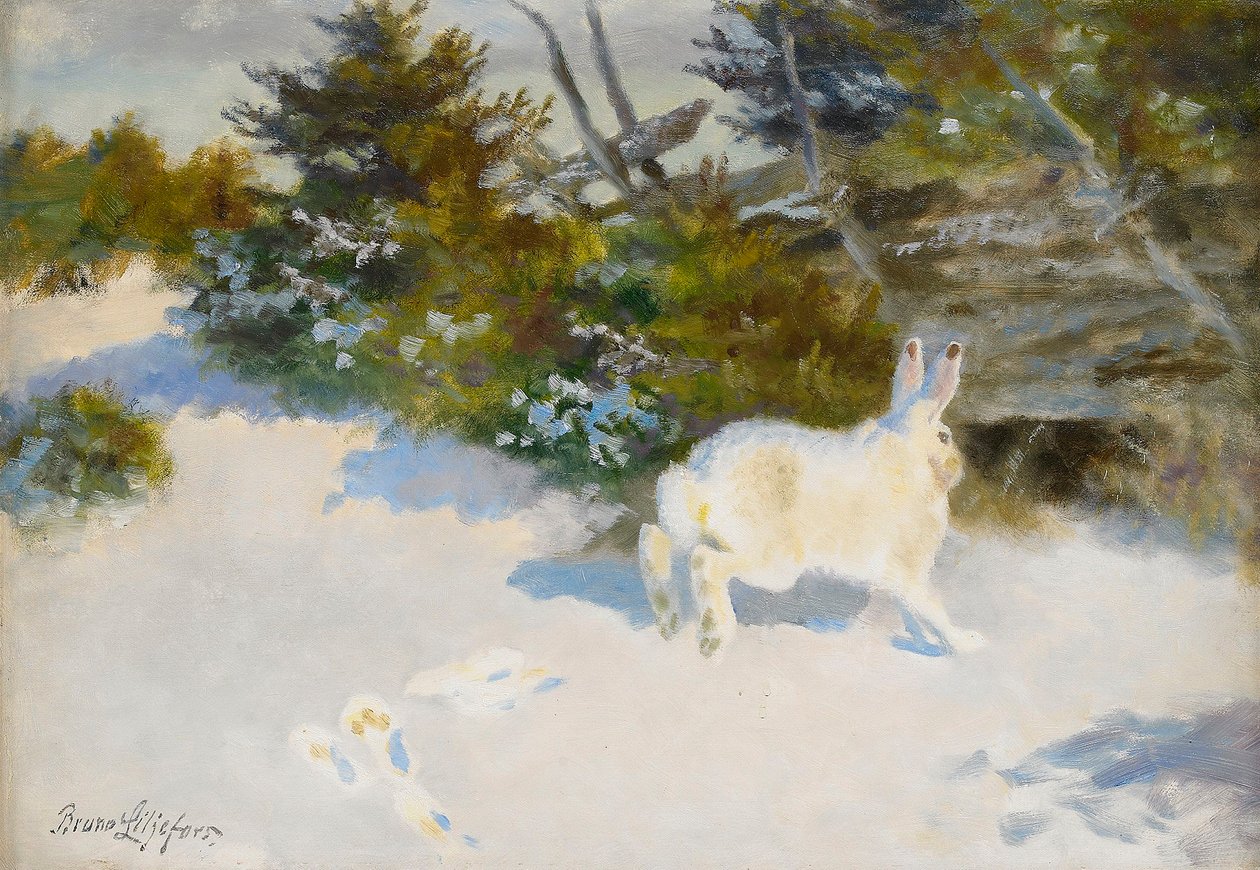  Hare in winter landscapenSvenska: Hare i vinterlandskapn av Bruno Andreas Liljefors