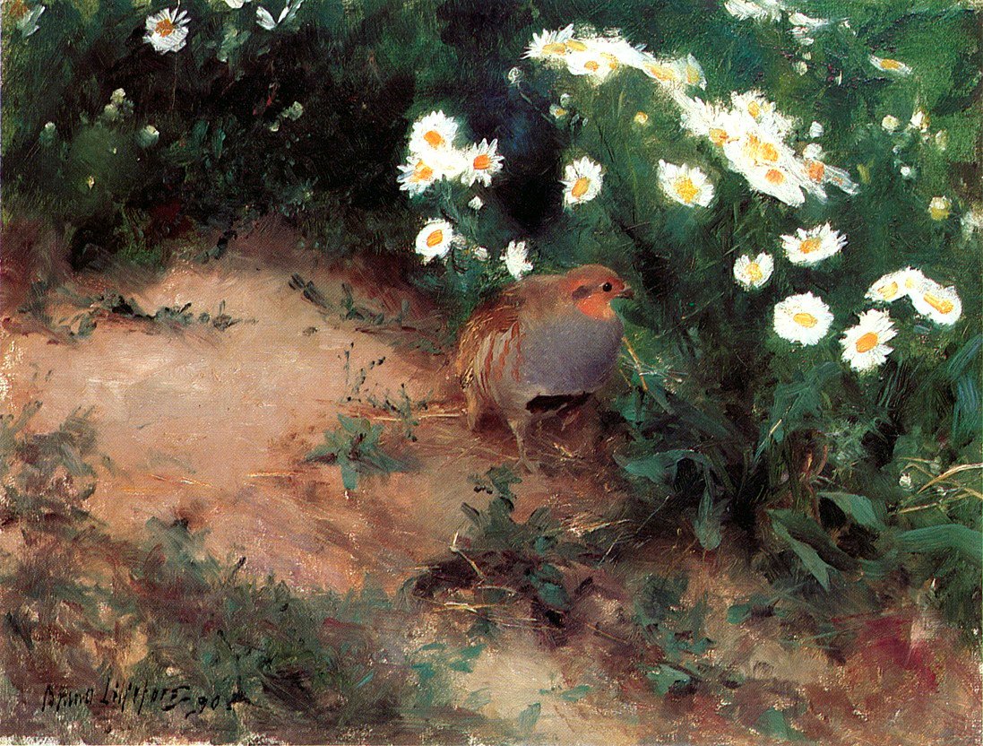 Partridge with Daisies av Bruno Andreas Liljefors
