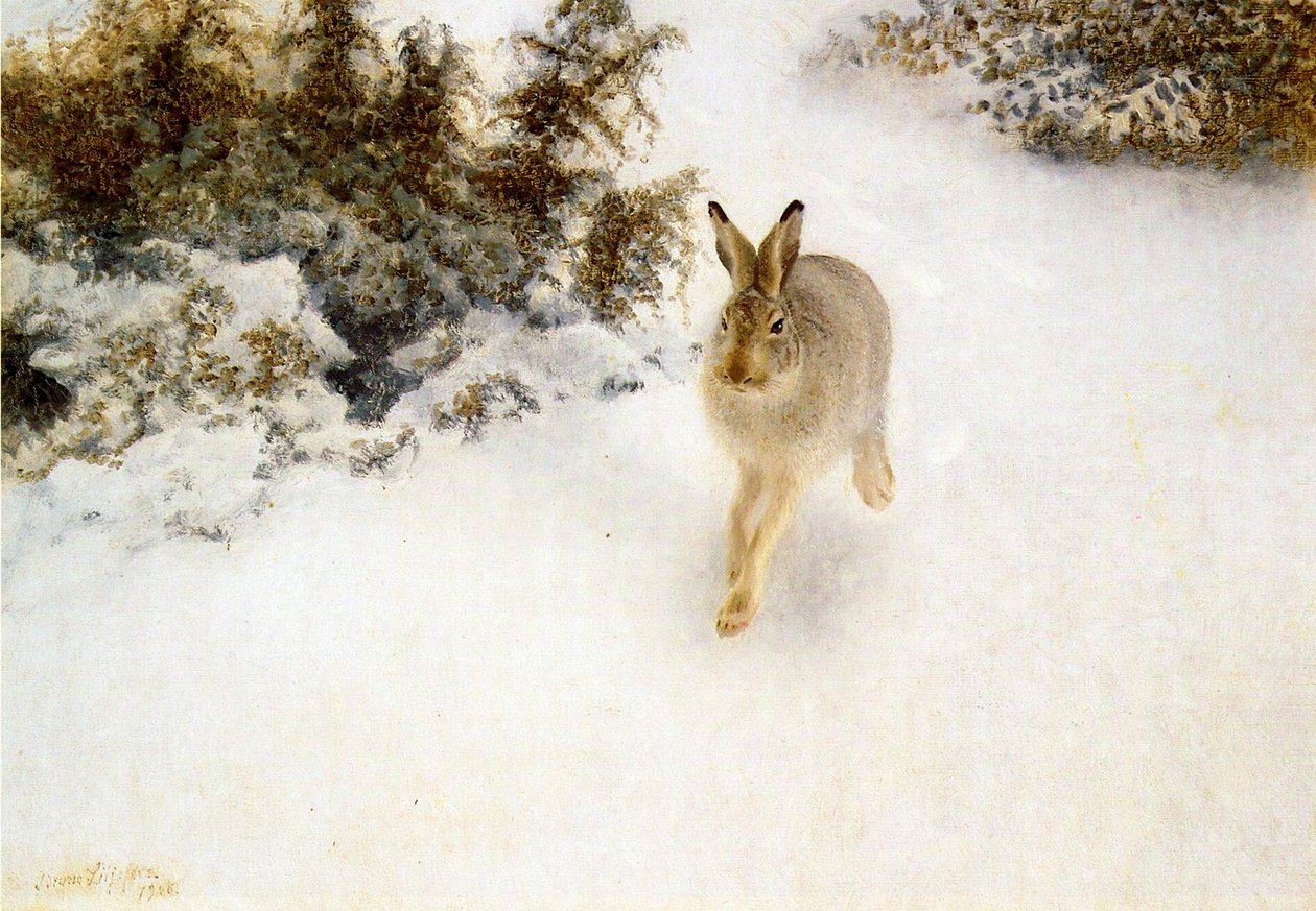 Winter Hare av Bruno Andreas Liljefors