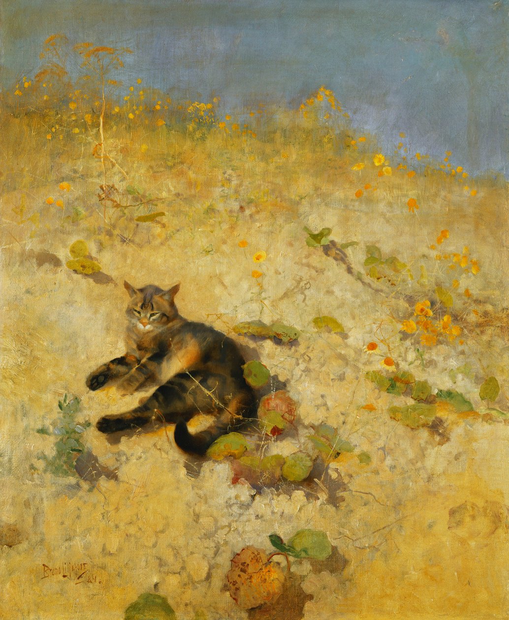 En katt som solar sig i solen av Bruno Andreas Liljefors