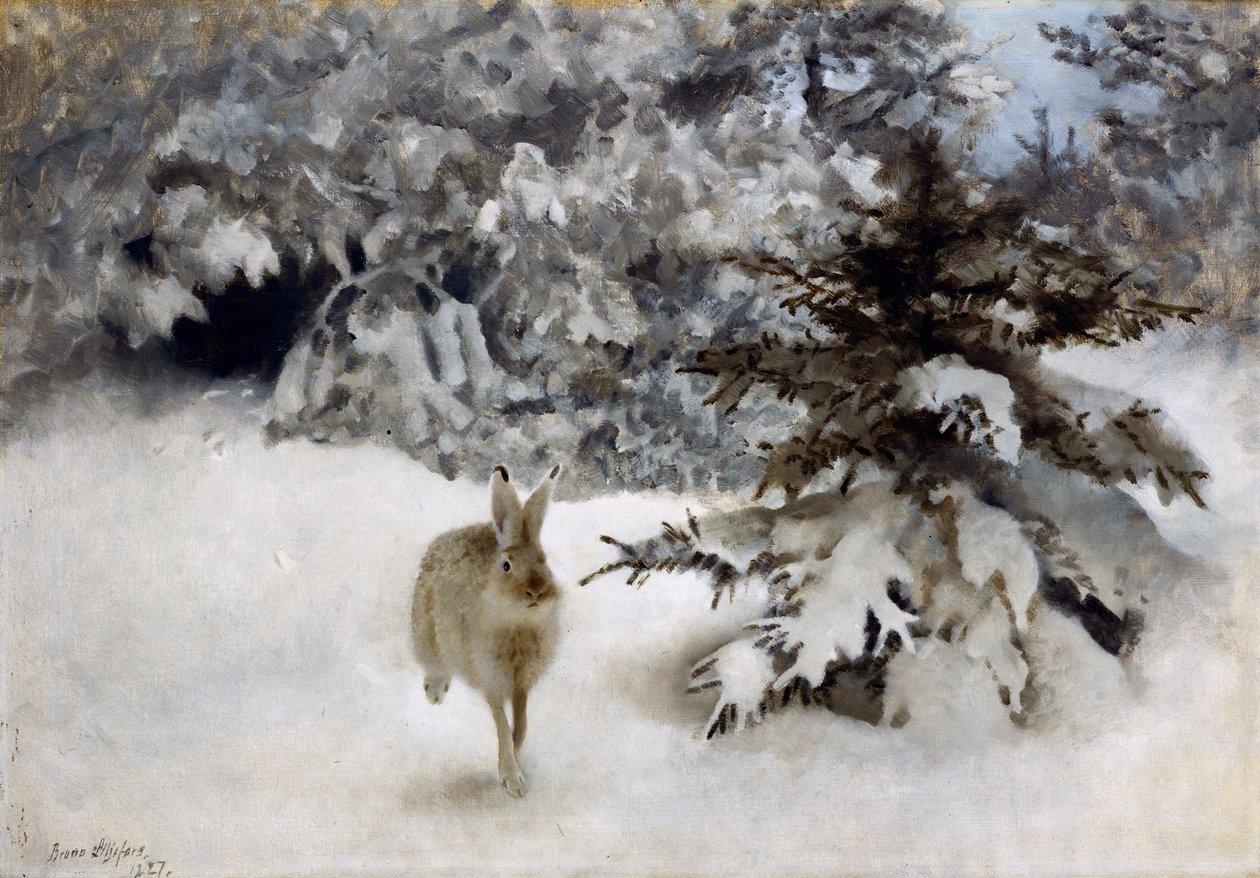 En hare i snön av Bruno Andreas Liljefors