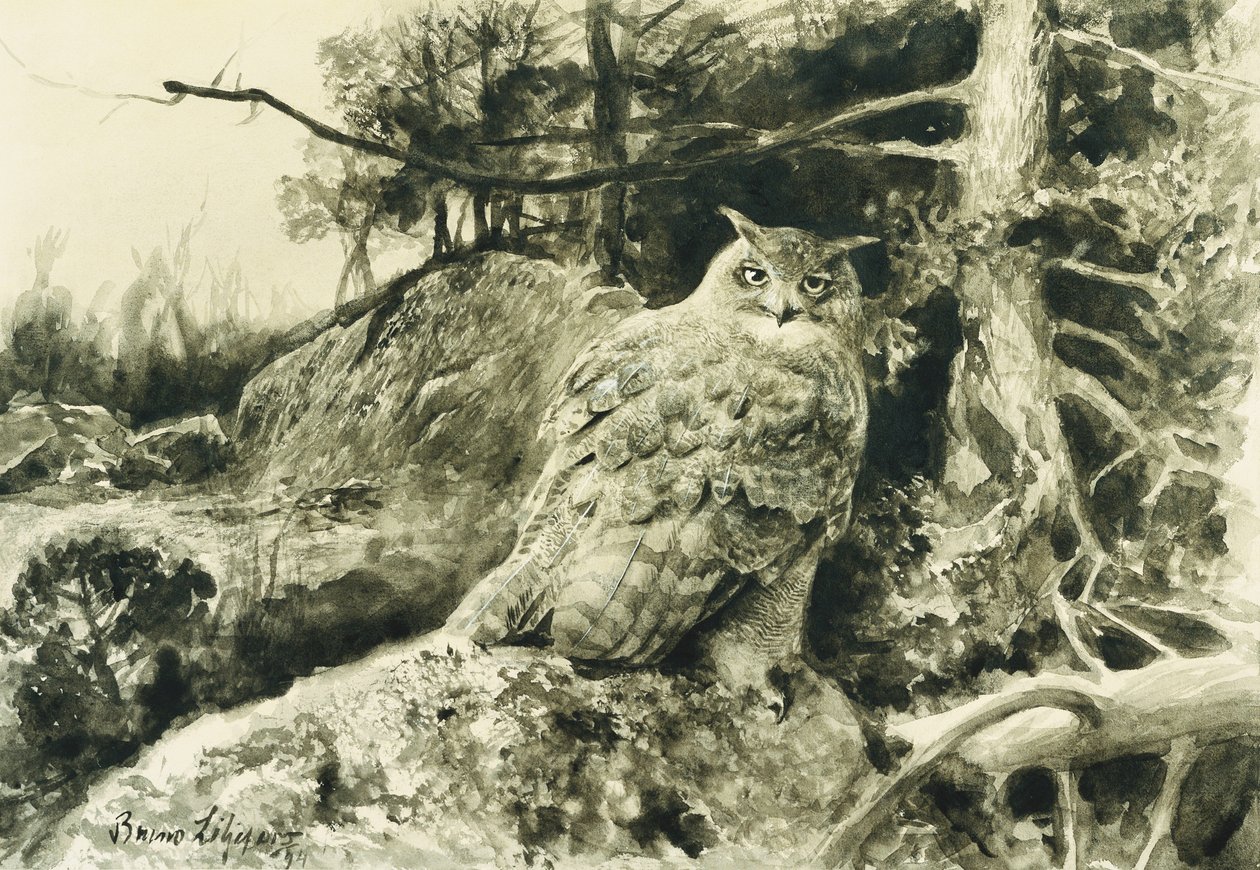 Berguv (Eagle Owl) Bubo Bubo av Bruno Andreas Liljefors