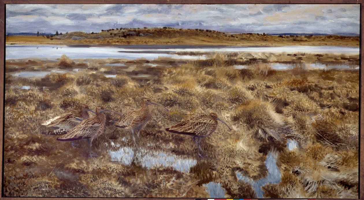 Curlews Fåglar i kärren. Målning av Bruno Andreas Liljefors (1860-1939) 1913 sön. 1,19x2,2 m av Bruno Andreas Liljefors