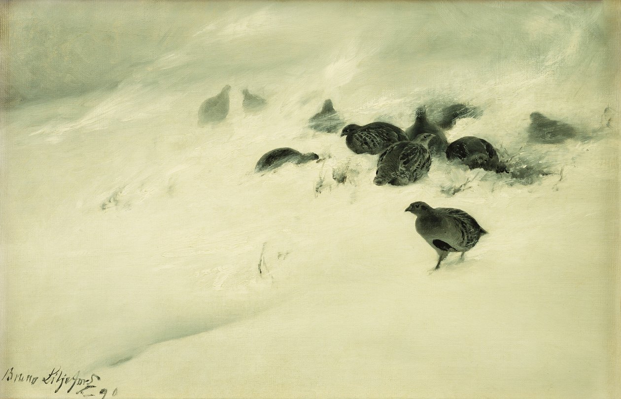 Ripa i en snöstorm av Bruno Andreas Liljefors