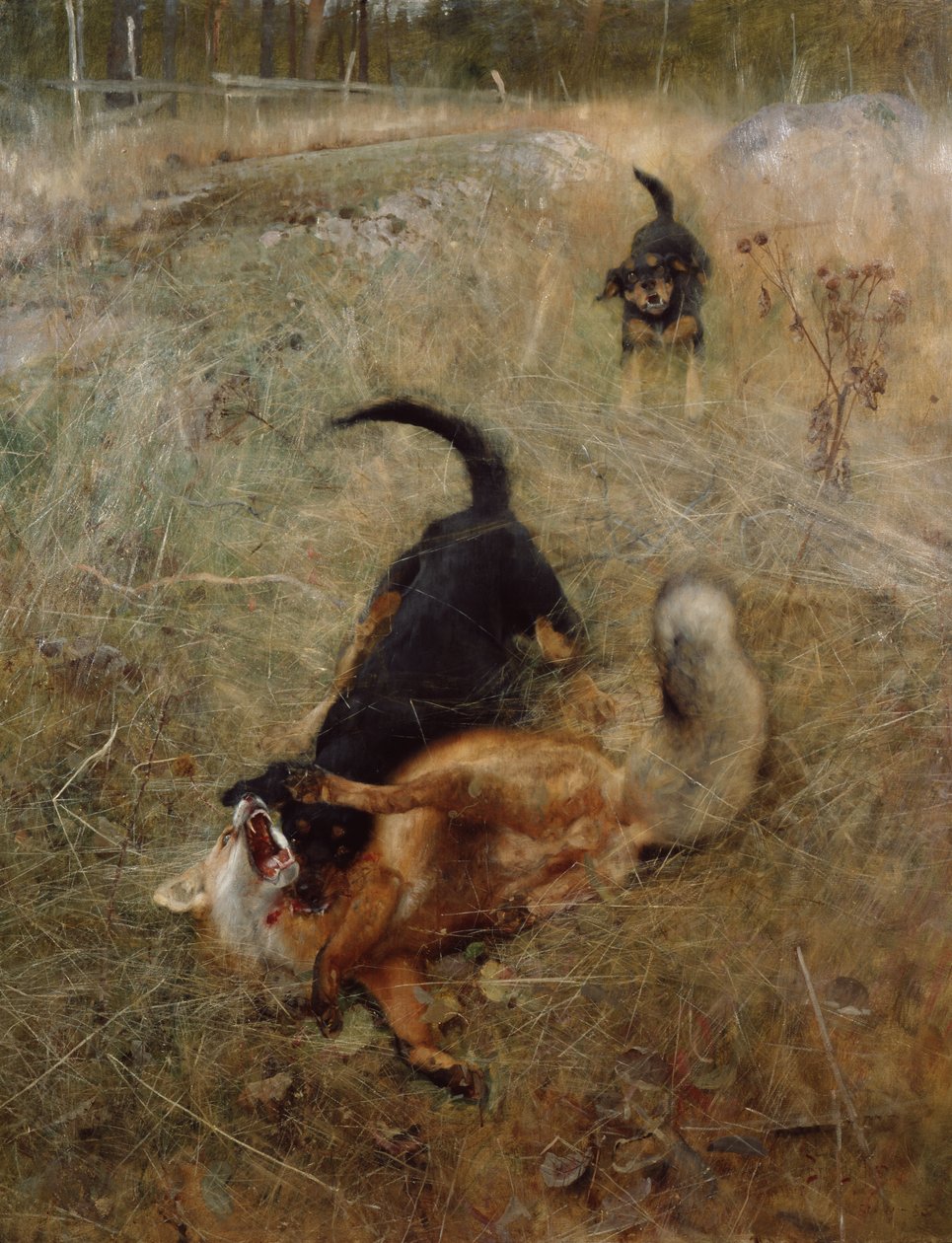 Hundar och räv av Bruno Andreas Liljefors