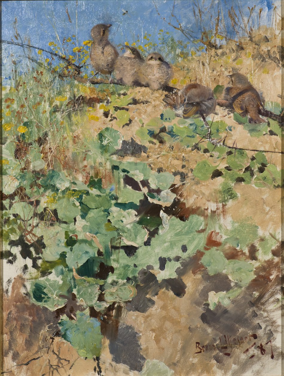Rödryggad trollskrik, 1887 av Bruno Andreas Liljefors