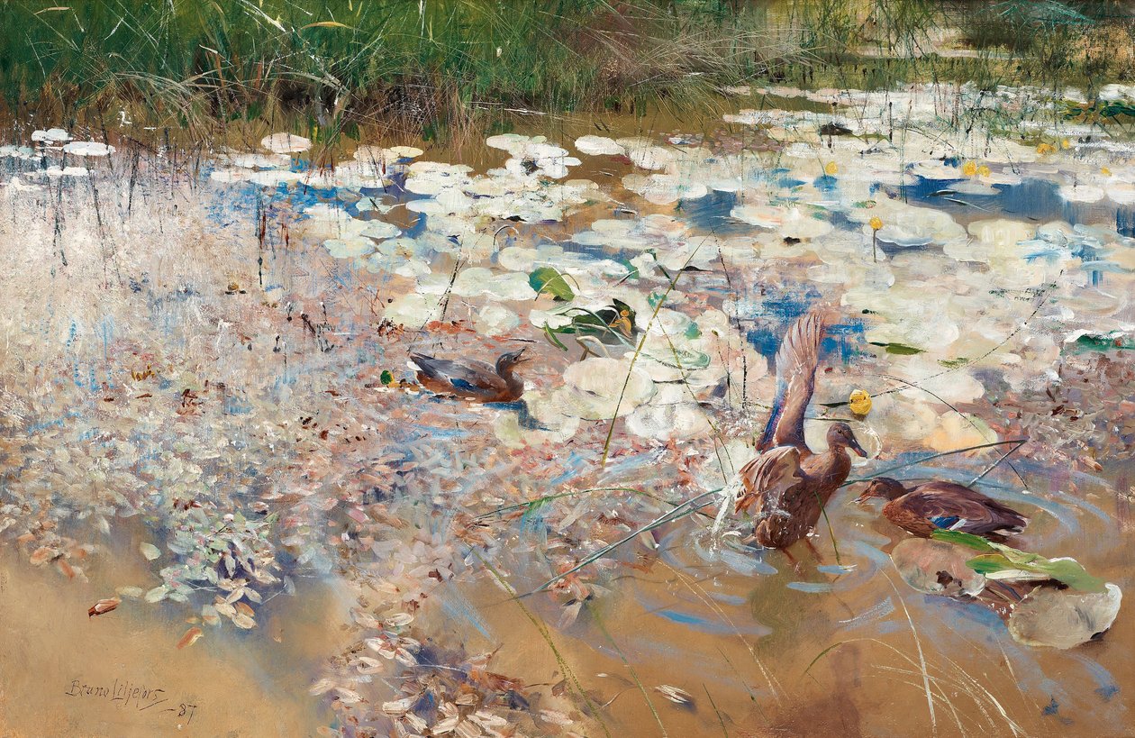 Vildänder, 1887. av Bruno Andreas Liljefors
