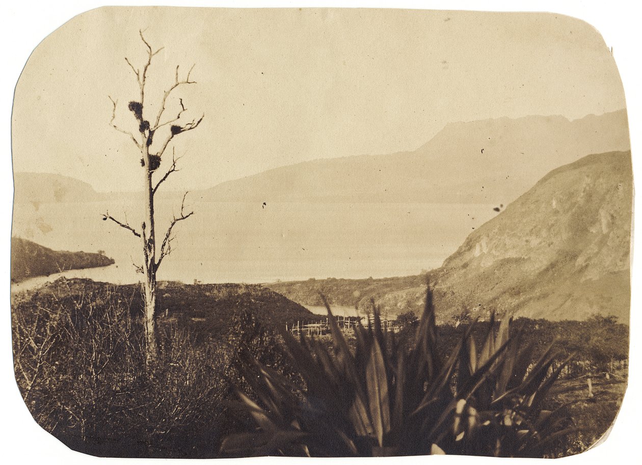 Lake and Mount Tarawera från Te Wairoa, 1860 (albumintryck) av Bruno Hamel