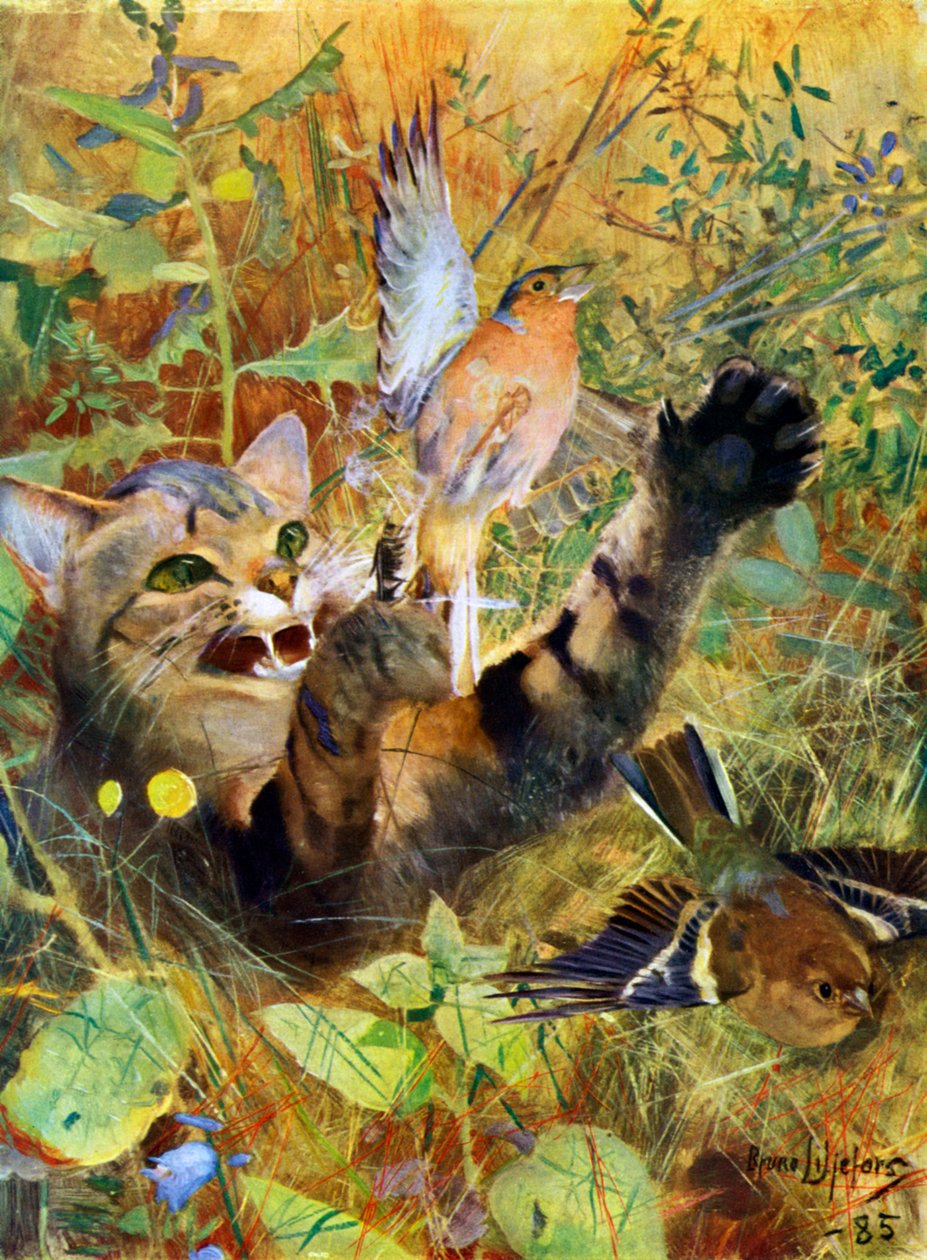 En katt och en bofink, 1885 1945. av Bruno Andreas Liljefors
