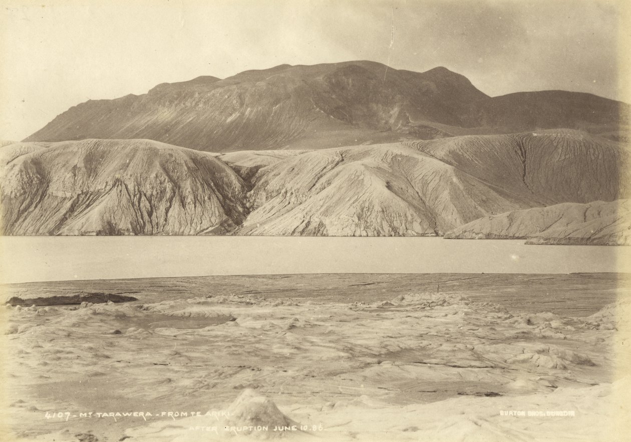 Tarawera från Te Ariki. Efter utbrottet 10 juni 86, juli 1886 (albumenprint) av Burton Brothers Studio