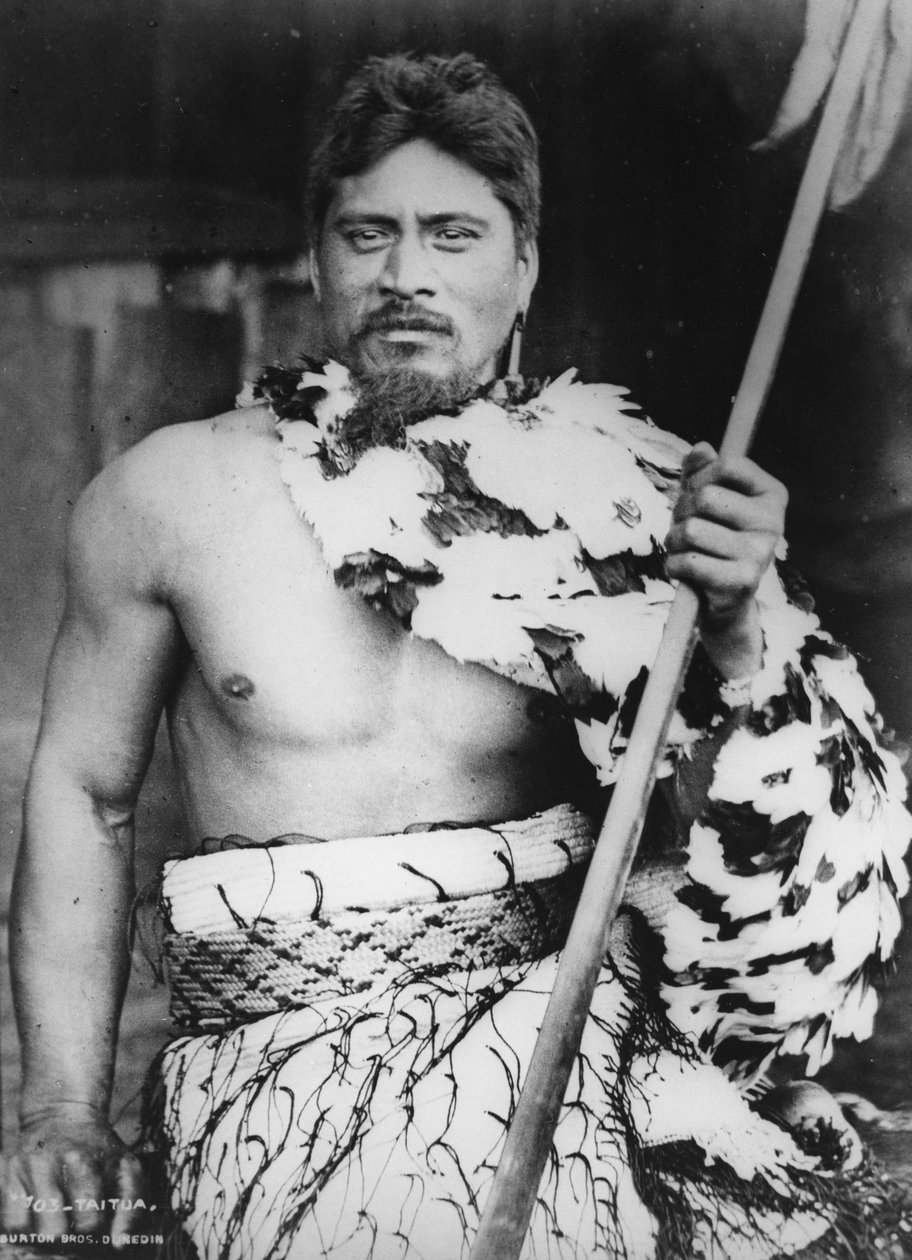 Taitua vid Taumaranui, Kings Country, 1885 av Burton Brothers Studio