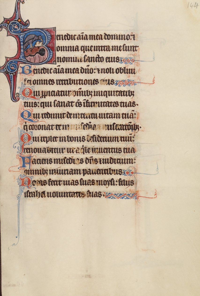 Initial B: En örn som skjuter en sten i en fontän av Bute Master
