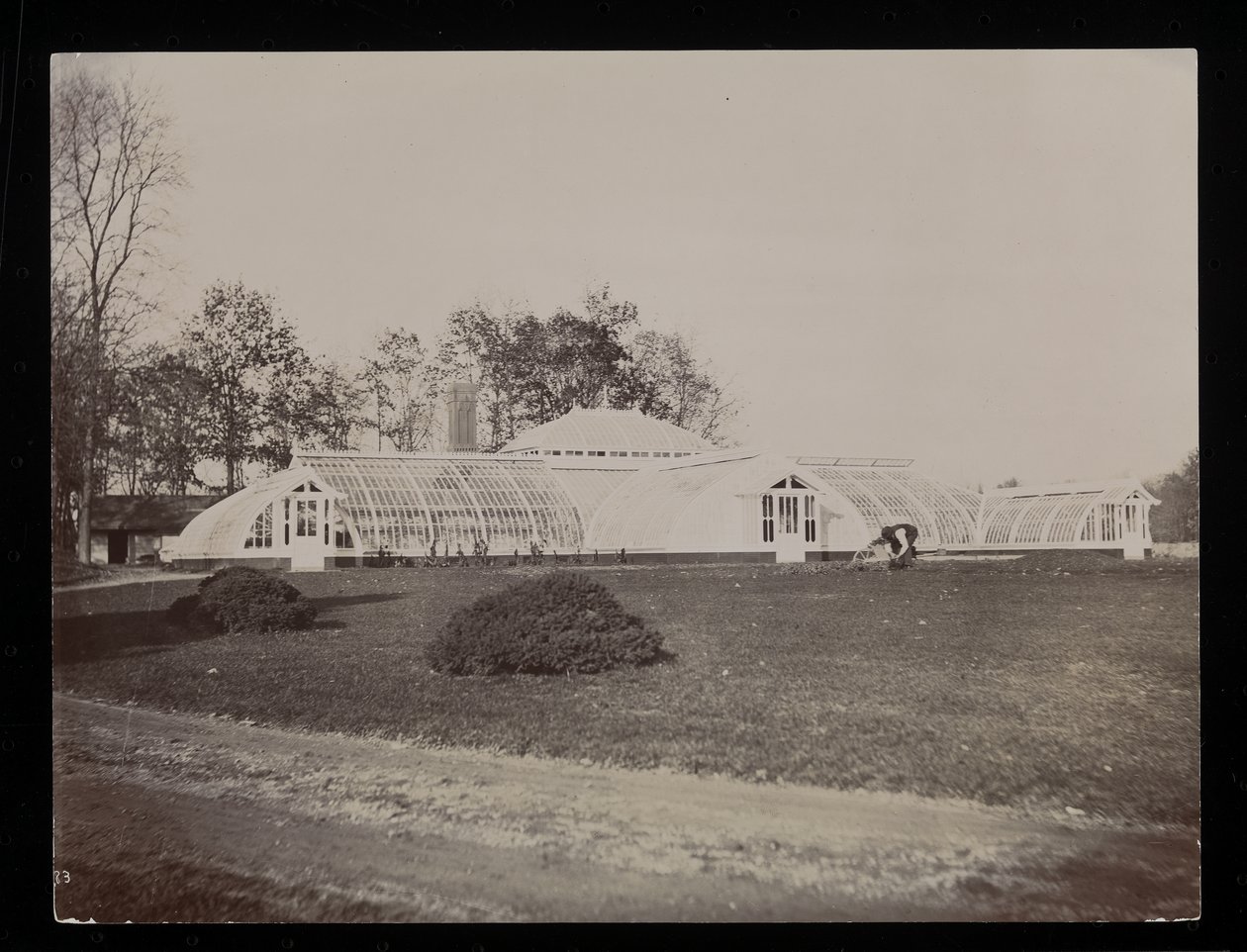 Ett växthus på John Jacob Astors egendom i Rhinecliff, New York, 1893-94 (silvergelatintryck) av Byron Company