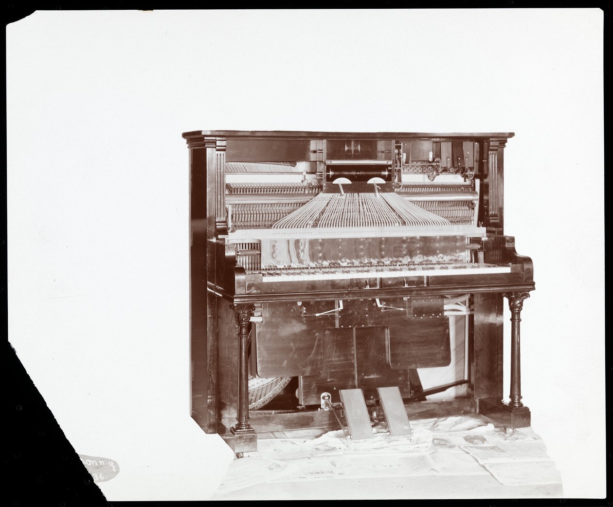 Ett spelpiano av Ricca und Son Piano Co., 1907 (silvergelatintryck) av Byron Company