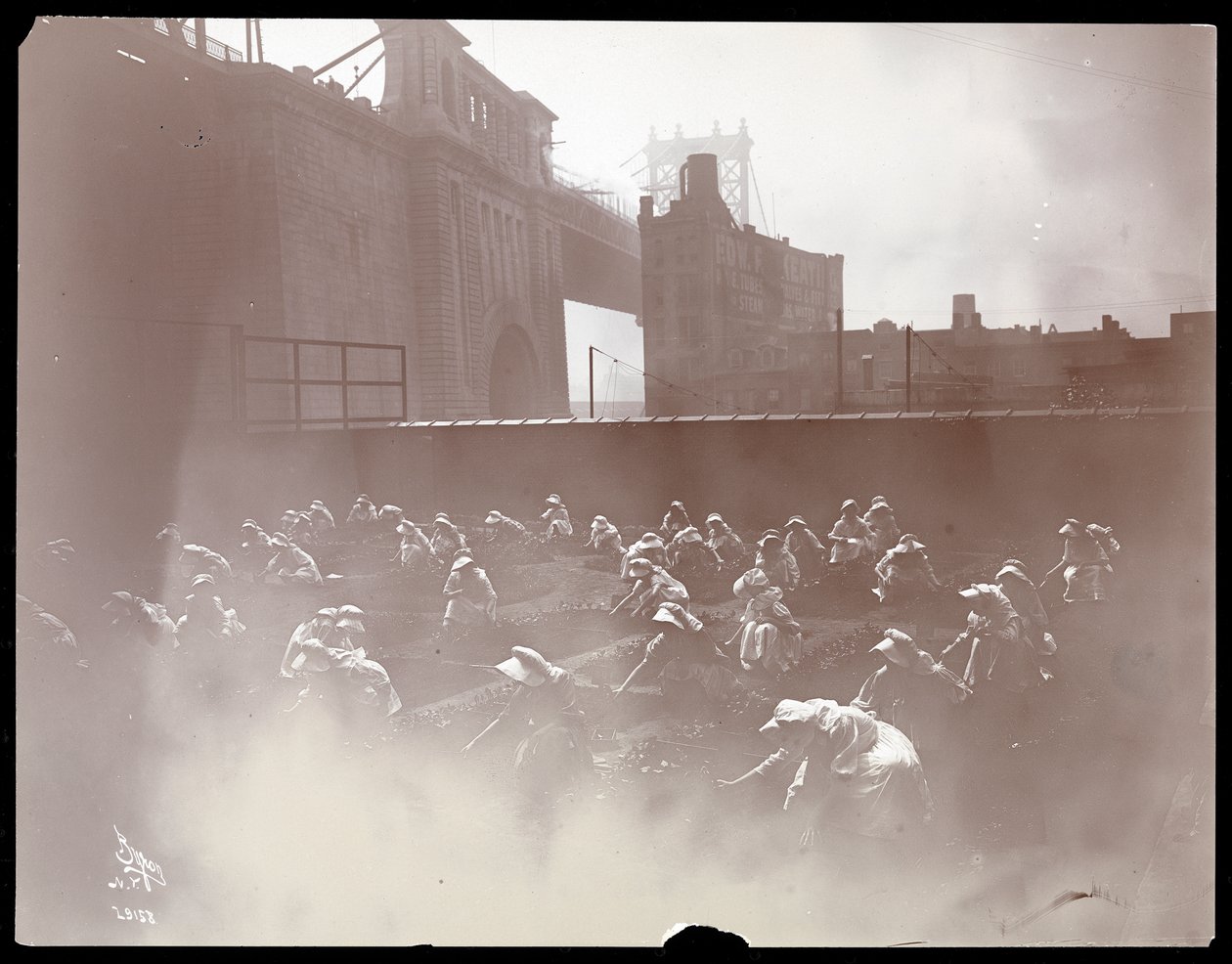 Flickor som arbetar i en grönsaksträdgård på ett tak, Manhattan Bridge syns bortom, New York, 1910 (silvergelatintryck) av Byron Company