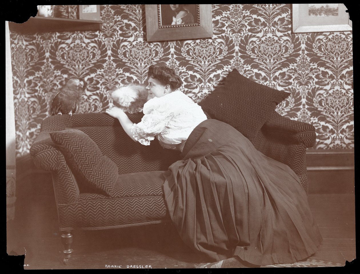 Marie Dressler hemma med hund och papegoja, 1905 (silvergelatintryck) av Byron Company