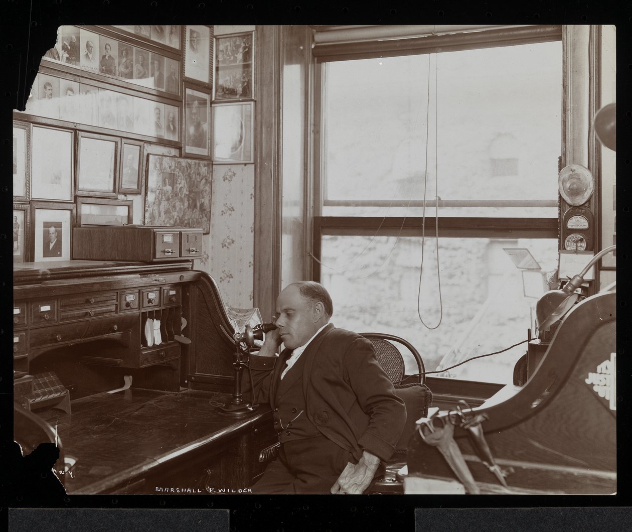 Marshall P. Wilder i telefon på sitt kontor, 1898-99 (silvergelatintryck) av Byron Company