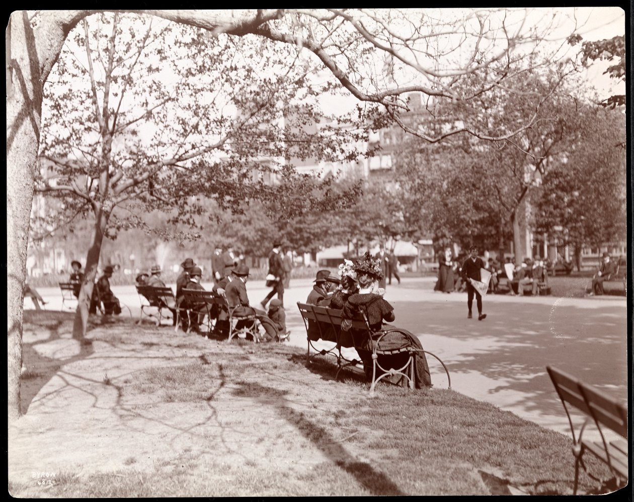 Människor på parkbänkar på Union Square, New York, 1898 (silvergelatintryck) av Byron Company