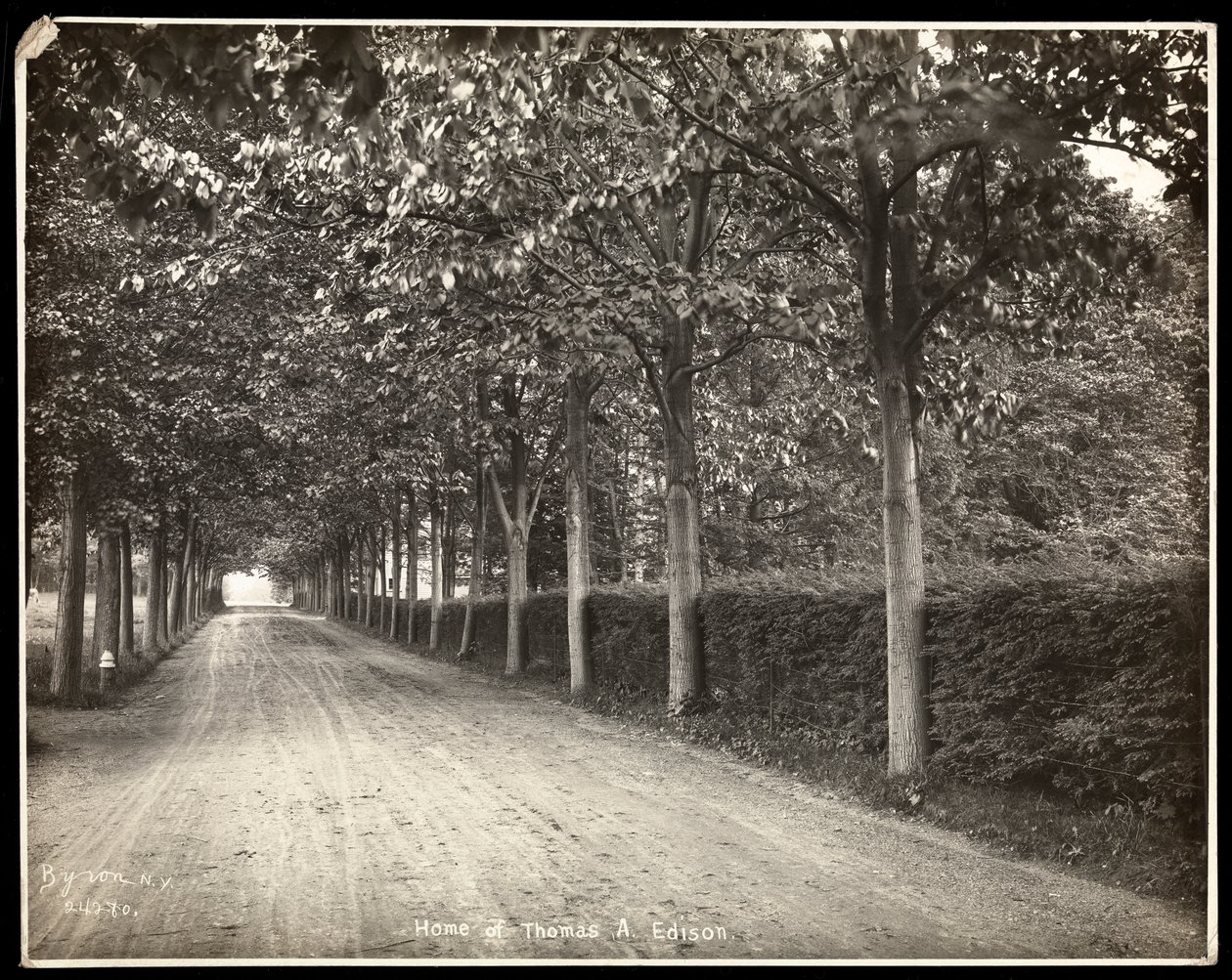 Trädkantad bilresa hemma hos Thomas Edison, 1907 (silvergelatintryck) av Byron Company