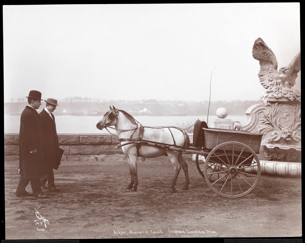 Två män, ponny och vagn, New York, 1910 eller 1911 (silvergelatintryck) av Byron Company