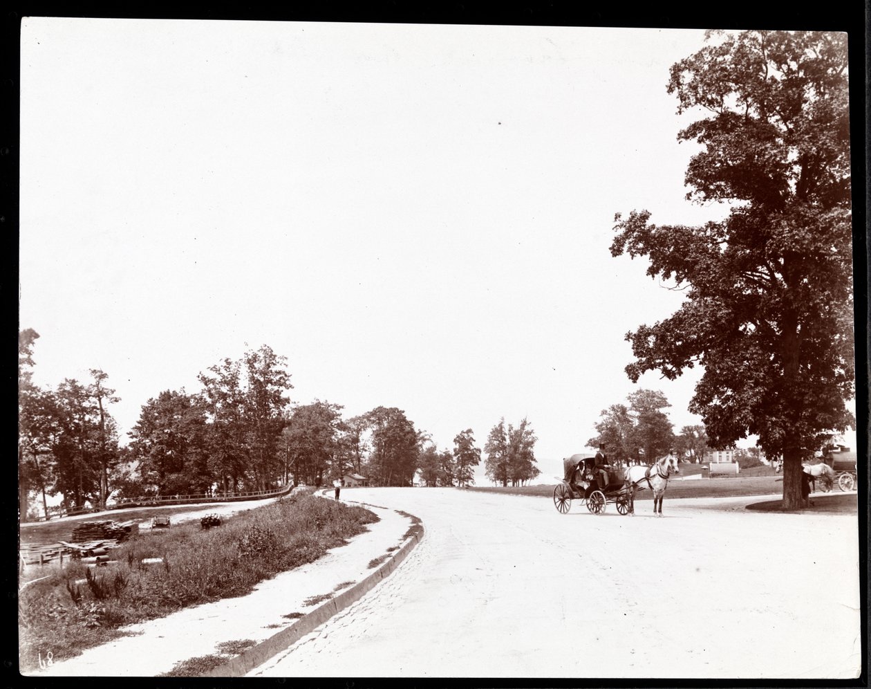 Vy över en häst och vagn på Riverside Drive, New York, ca 1893 (silvergelatintryck) av Byron Company