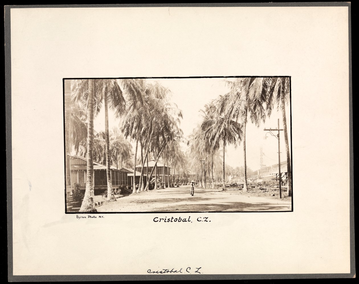 Vy över en palmkantad grusväg genom Cristobal, Panama, under byggandet av kanalen, 1912 eller 1913 (silvergelatintryck) av Byron Company