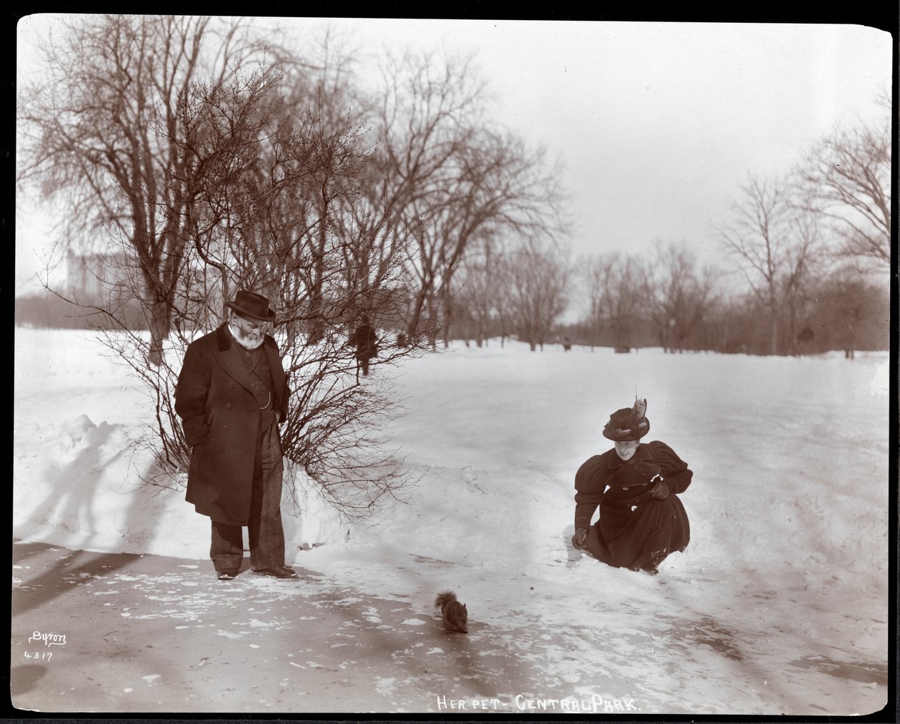 Vy av en kvinna som matar en ekorre medan en man tittar på i snön i Central Park, New York, 1898 (silvergelatintryck) av Byron Company
