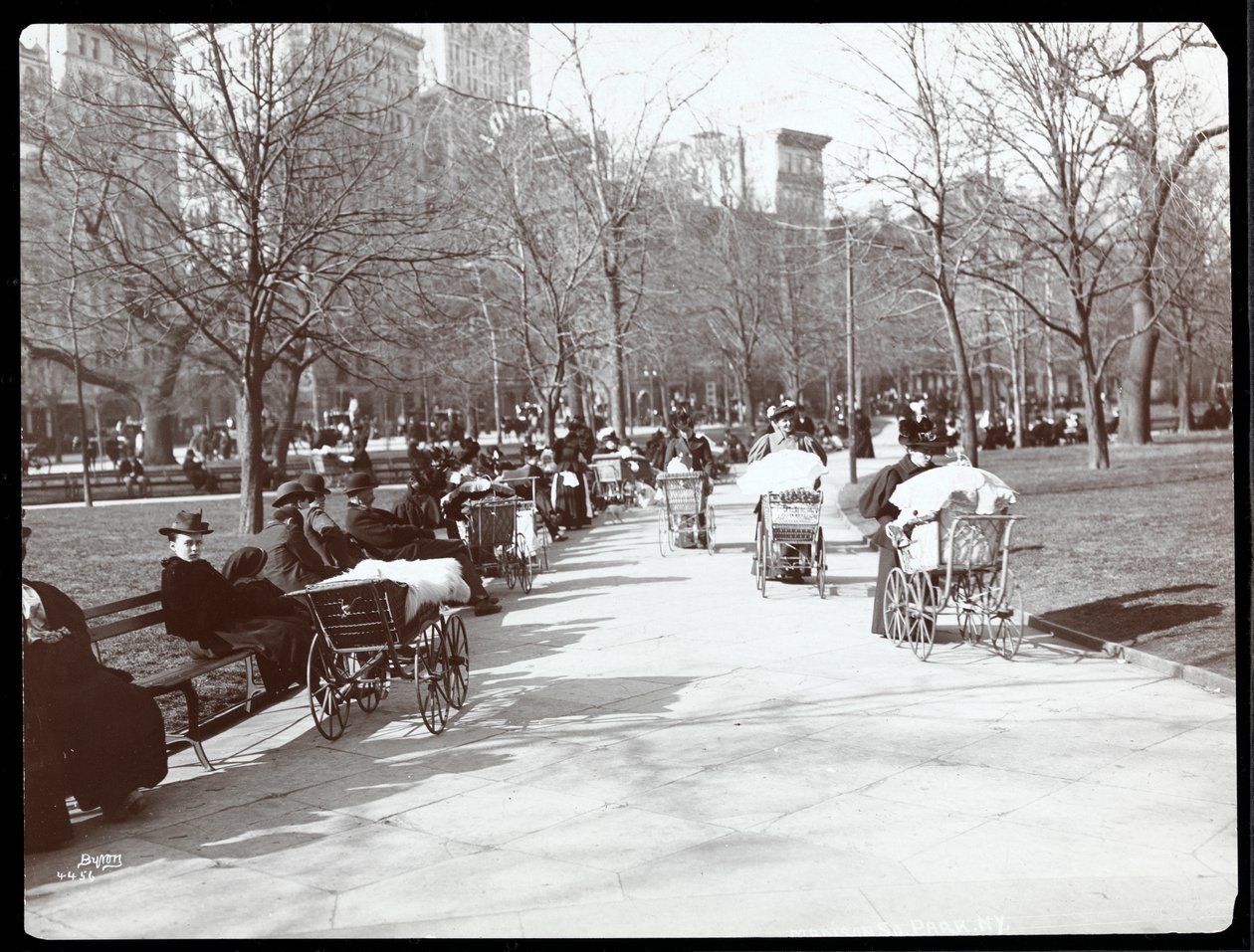 Vy över kvinnor med barnvagnar i Madison Square Park, New York, 1901 (silvergelatintryck) av Byron Company