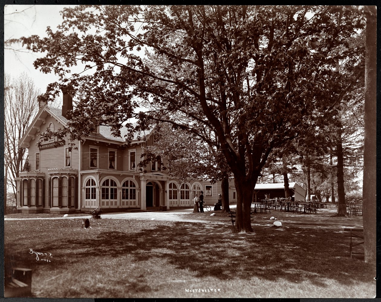 Utsikt genom träden på Woodmansten Inn, Westchester, New York, 1901 (silvergelatintryck) av Byron Company