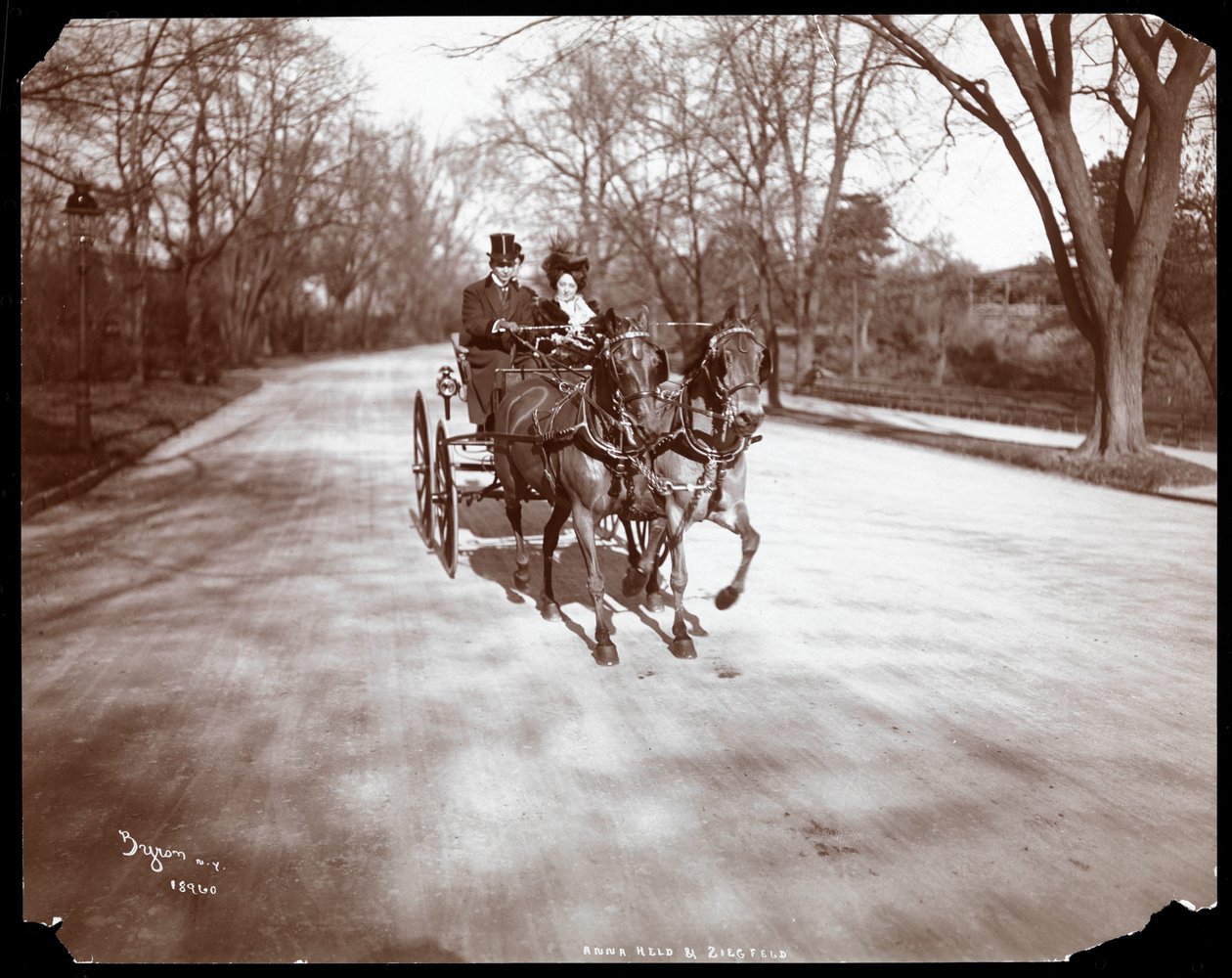 Anna Held och Florenz Ziegfeld kör en häst och vagn, New York, 1904 (silvergelatintryck) av Byron Company