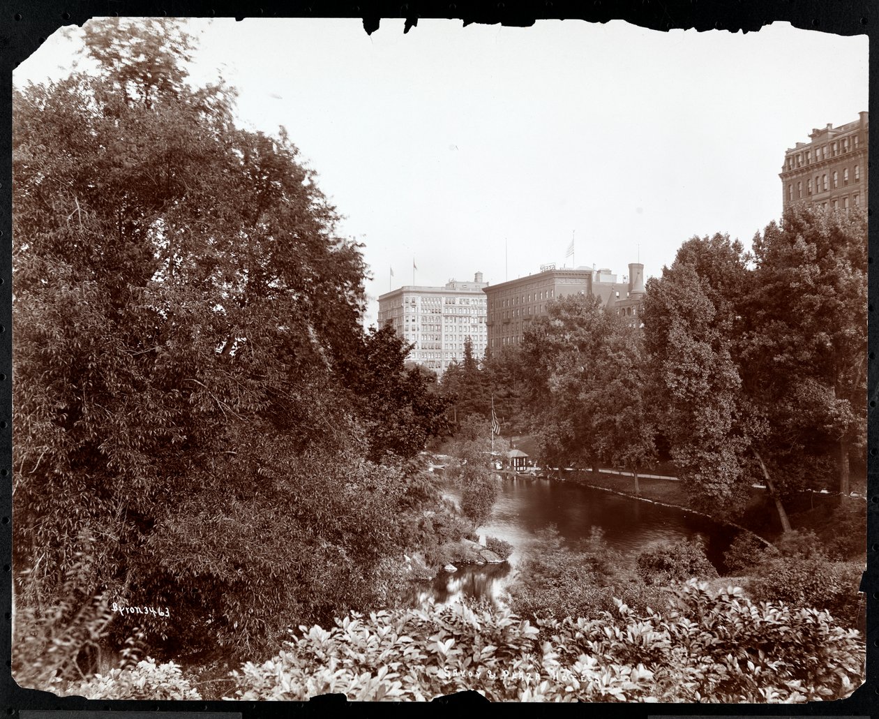Central Park med utsikt över Savoy and Plaza Hotels, 5th Avenue och 59th Street, New York, ca 1896-98 (silvergelatintryck) av Byron Company