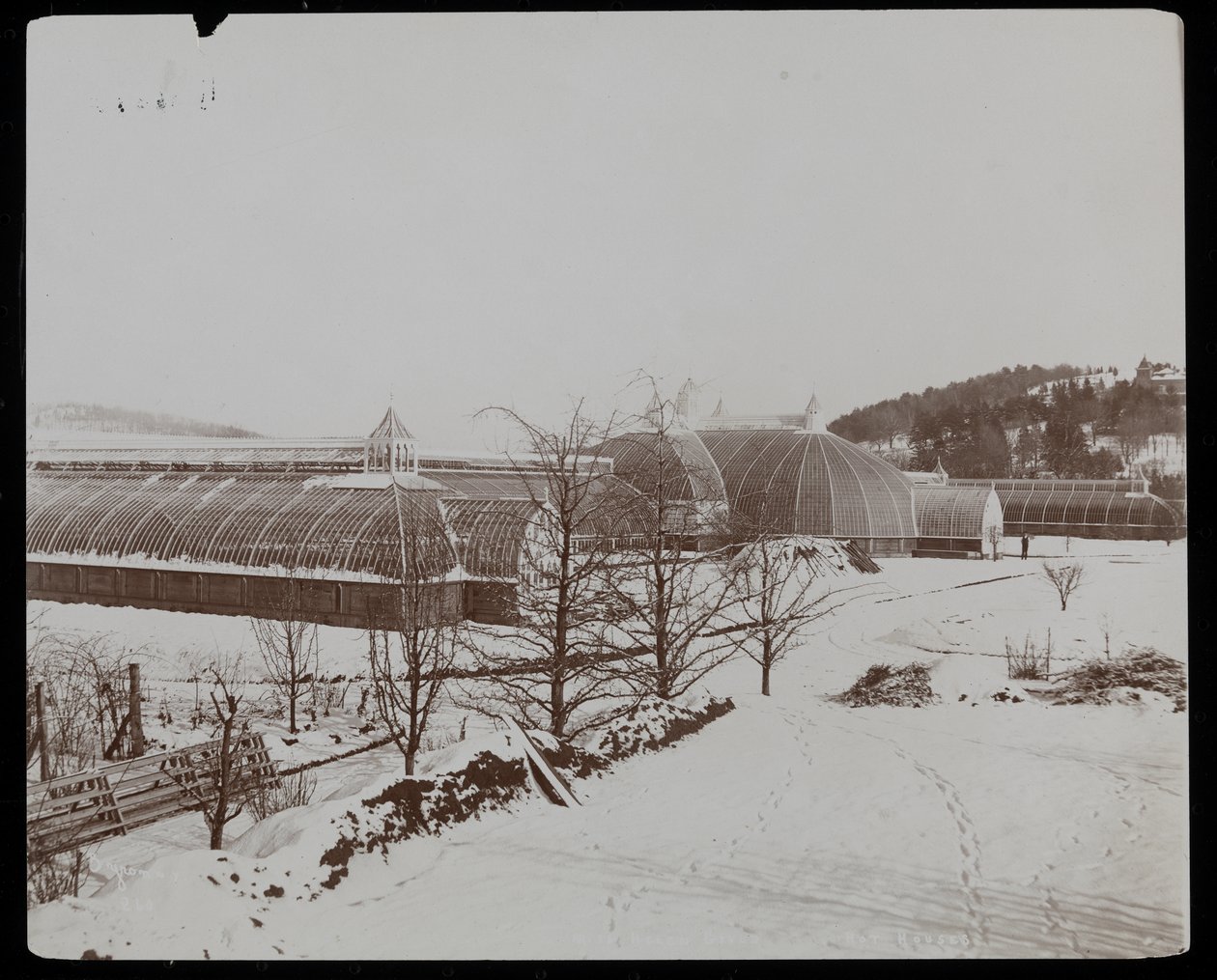 Växthusen i snön på Helen Goulds egendom (Jay Goulds hem) i Tarrytown, New York, 1894 (silvergelatintryck) av Byron Company