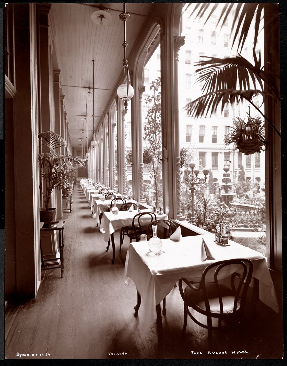 Verandan på Park Avenue Hotel, 1901 eller 1902 (silvergelatin) av Byron Company