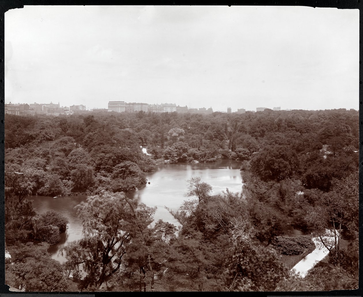 Utsikt över Central Park från Plaza Hotel, 5th Avenue och 59th Street, New York, 1907 (silvergelatintryck) av Byron Company