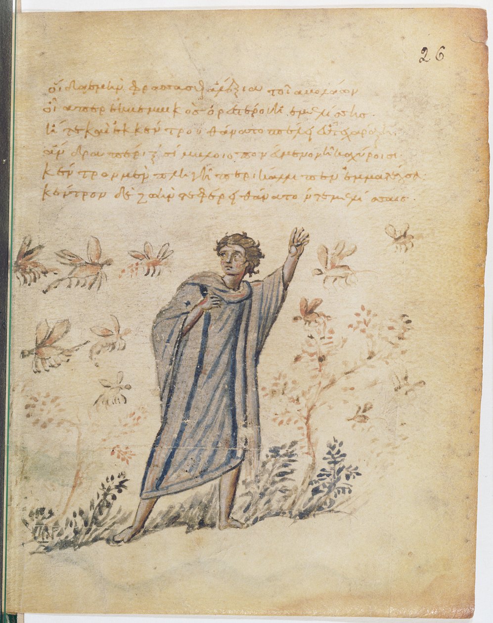 Ms Supp Grec 247 fol.3 Man som flyr från bin, illustration från Theriaca av Nicander av Colofon (fl. 2:a århundradet f.Kr.) av Byzantine