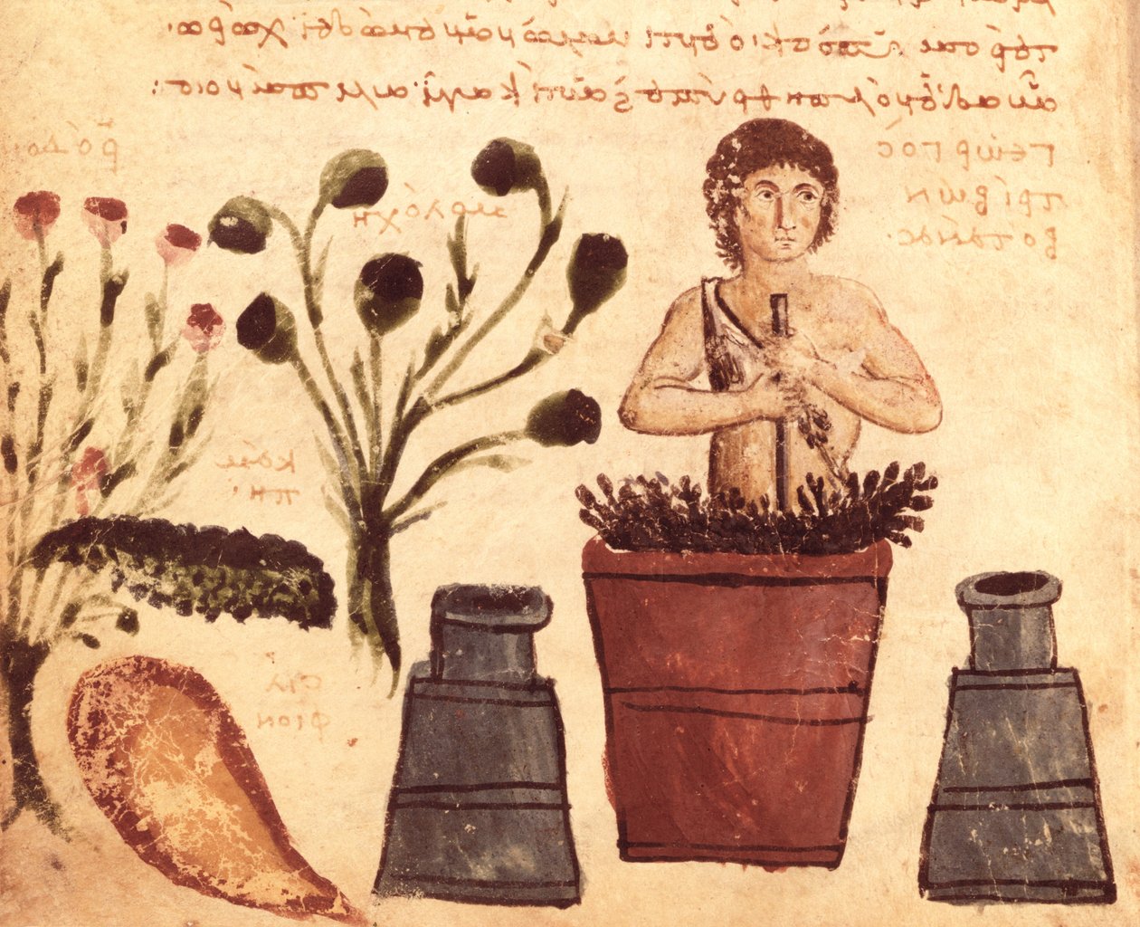 Ms Supp Grec 247 fol.5 En bonde som förbereder en salva för att skydda mot ormar, från Theriaca av Nicander av Colofon (fl. 2:a århundradet f.Kr.) av Byzantine