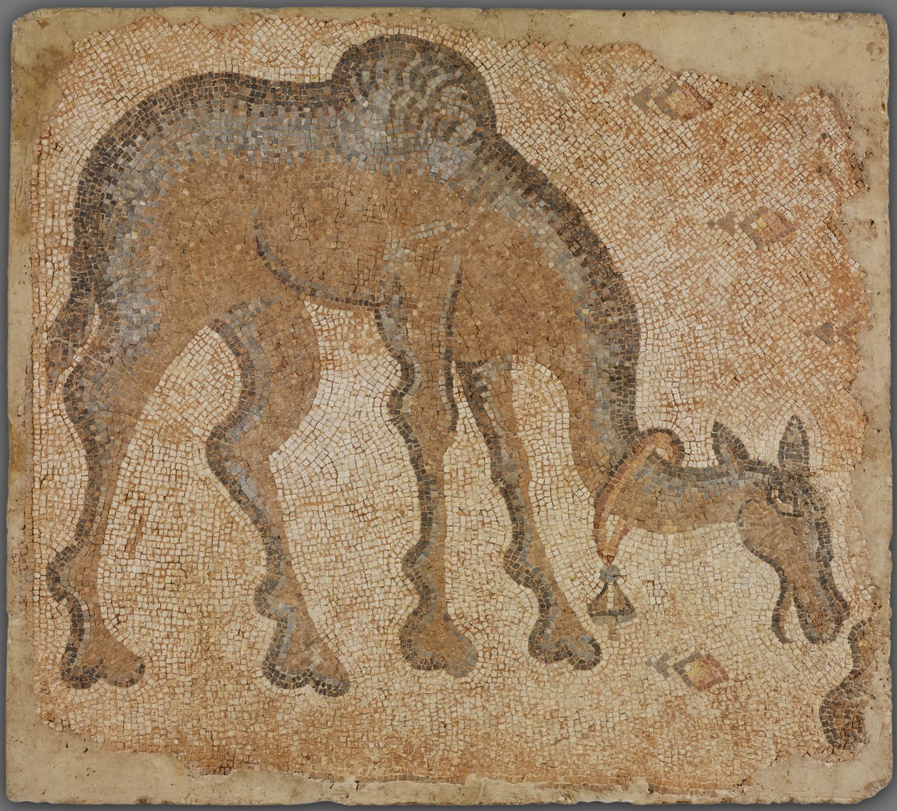 Mosaikfragment med betande kamel av Byzantine