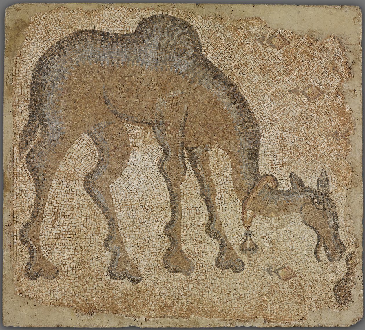 Mosaikfragment med betande kamel av Byzantine