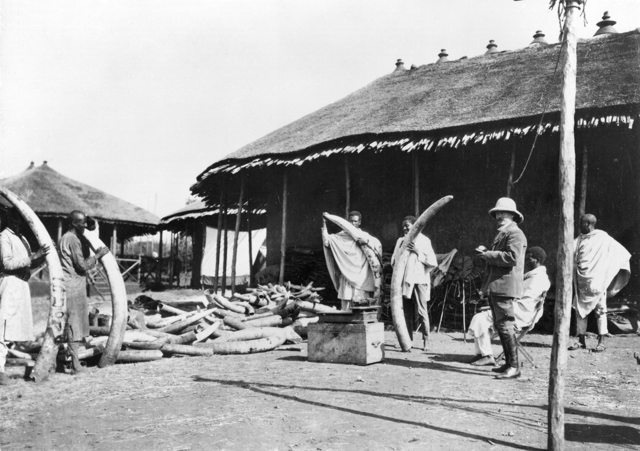 Elfenbenslager i Addis Abeba, Etiopien, ca 1900 (bw-foto) av C. Chusseau Flaviens
