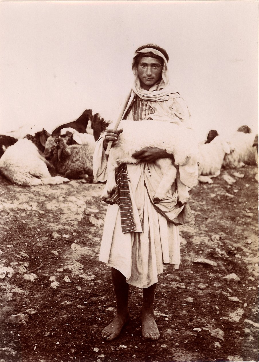 En herdepojke som bär ett lamm, ca 1894-1914 av C.A. Hornstein