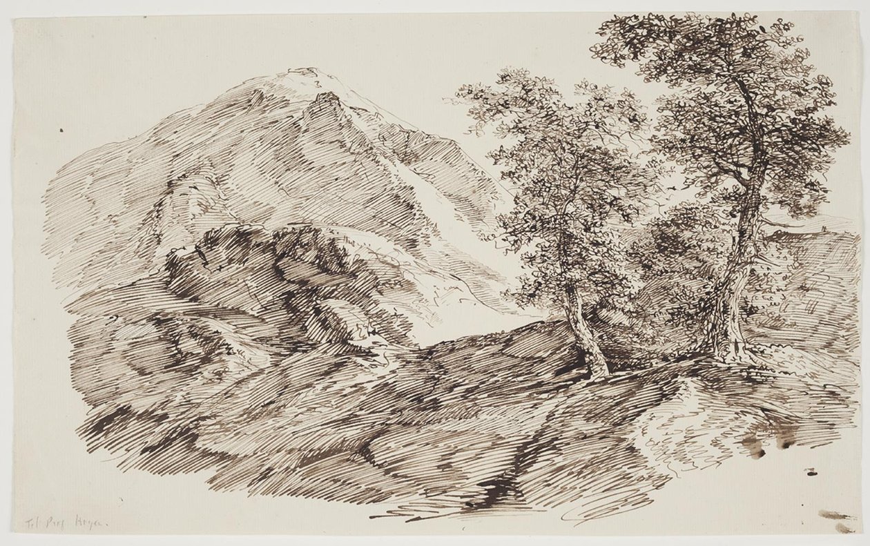 Berglandskap med träd av C.F. von Rumohr