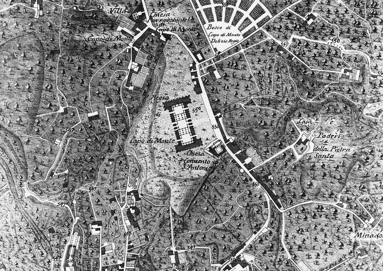 Stadskarta över Neapel med Capodimonte, detalj från Duke Of Noja-karta av J.B. and Brown J. Rowbotham