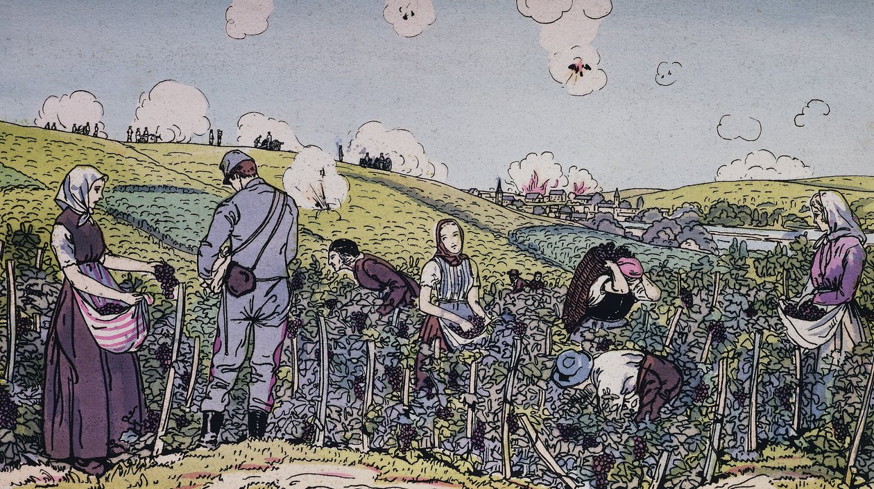 Våra vinodlare skördade under eld, skörden i regionen Champagne 1914, första världskriget, Frankrike, 1900-talet av J.B. and Brown J. Rowbotham
