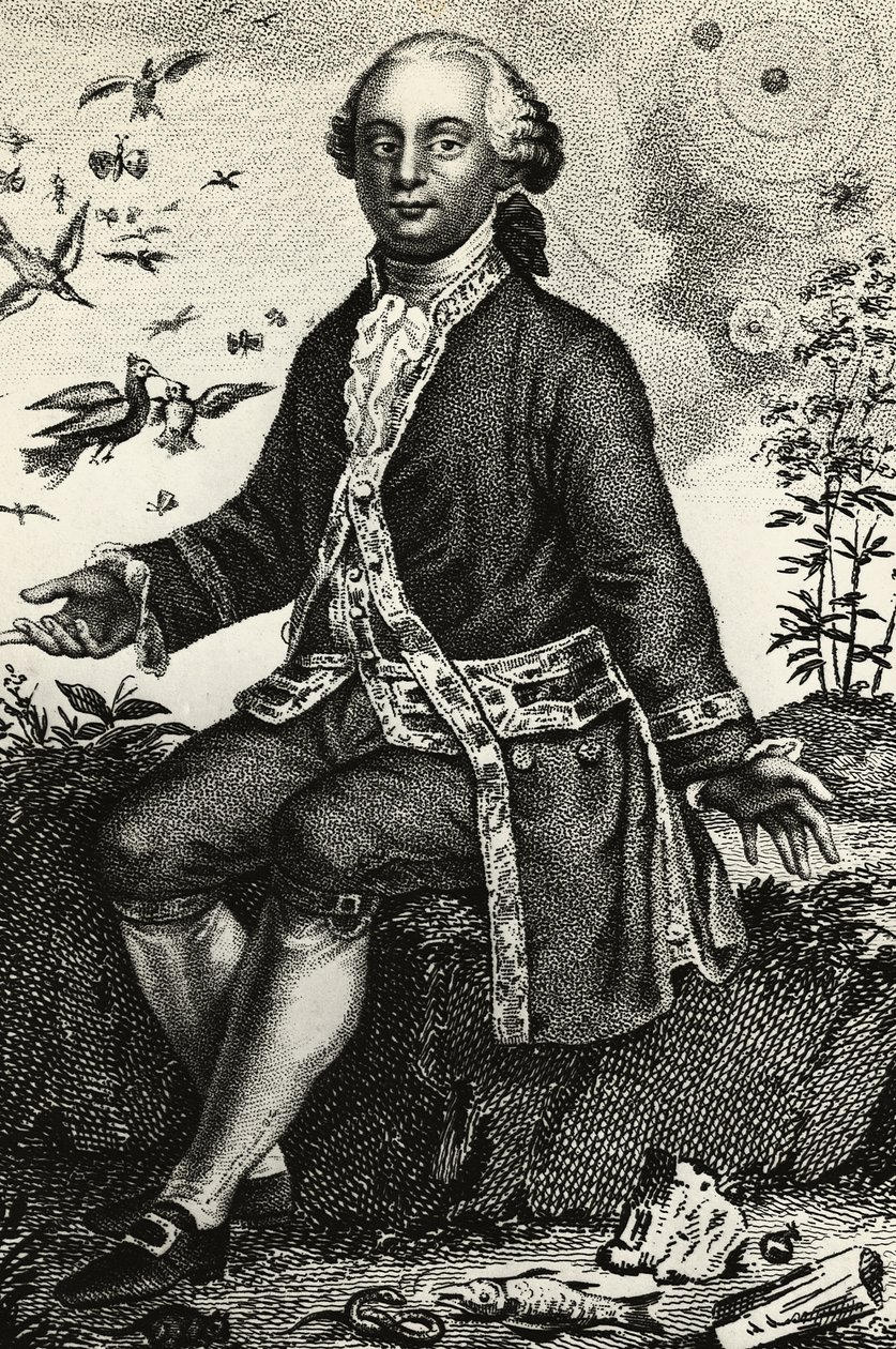 Porträtt av Georges-Louis Leclerc de Buffon (1707-1788), fransk naturforskare och matematiker, gravyr av J.B. and Brown J. Rowbotham