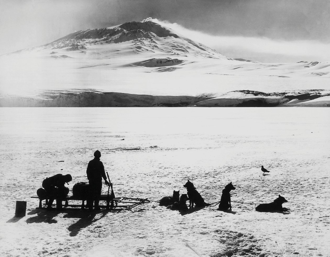 Sydpolsexpedition av Robert Falcon Scott (1868-1912), upptäcktsresande före vulkanen Erebus på ön Ross, 15 januari av J.B. and Brown J. Rowbotham