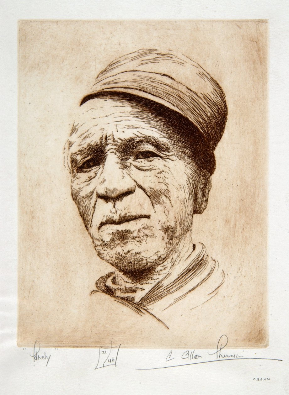 Sandy av C. Allen Sherwin