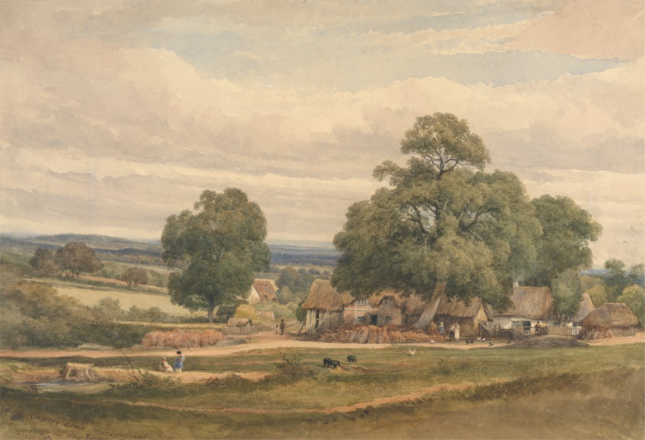 Emerey Down nära Lyndhurst, New Forest, Hants av C. John M. Whichelo