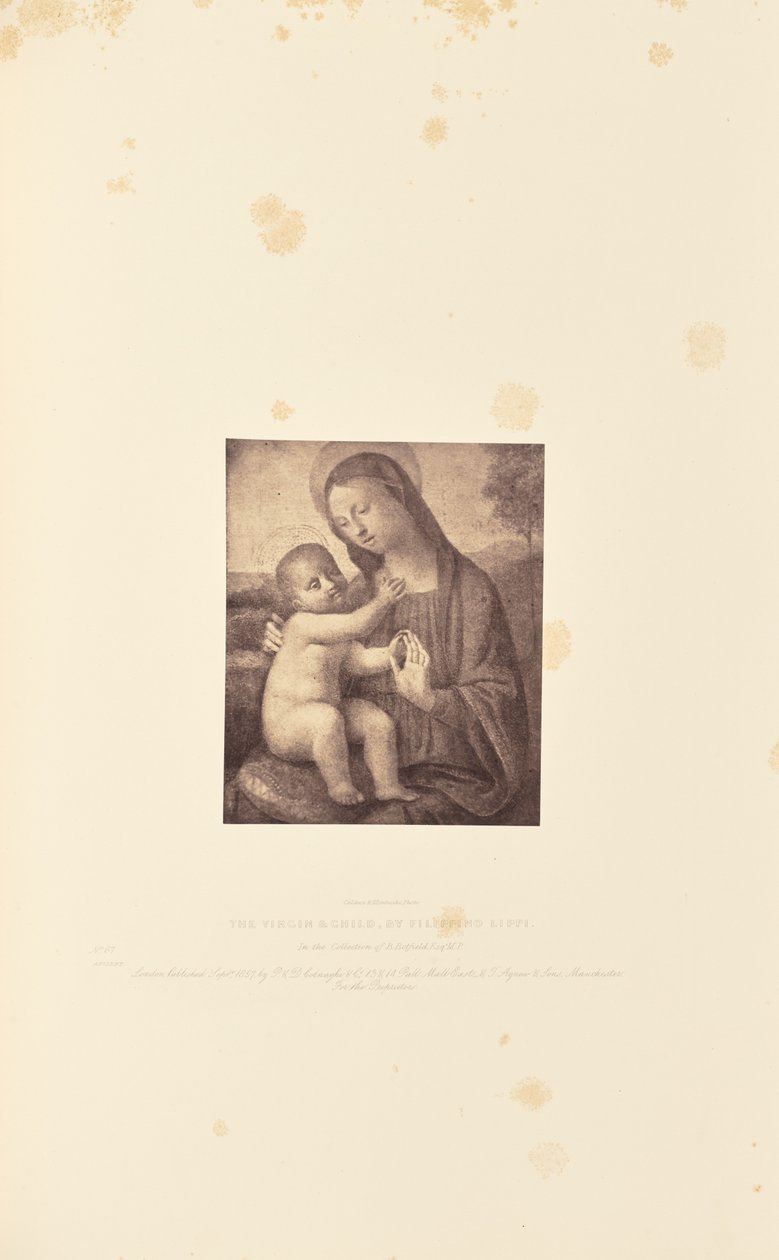 Jungfru Maria med barnet, av Filippino Lippi av Caldesi and Montecchi
