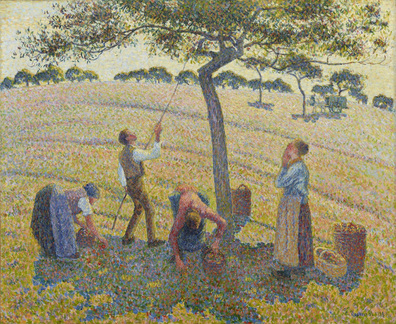 Apple Harvest  av Camille Jacob Pissarro