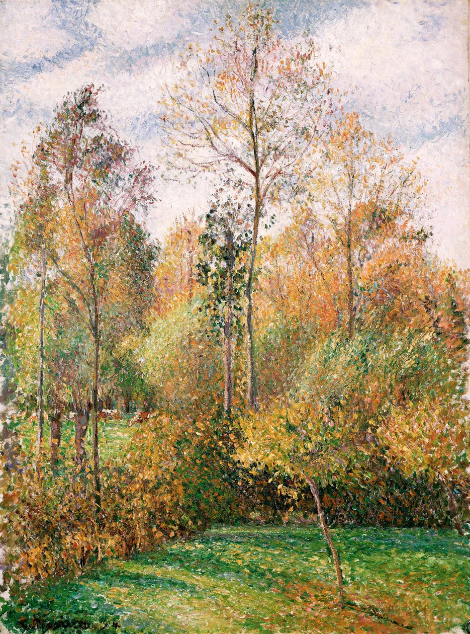Automne, Peupliers, Eragny  av Camille Jacob Pissarro